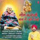 NEEM KAROLI BABA MEIN CHHAVI DIKHE