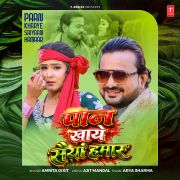 PAAN KHAAYE SAIYAAN HAMAAR