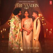 TERI YAADEIN - BONUS TRACK [FROM 