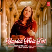 YAADON MEIN TERI