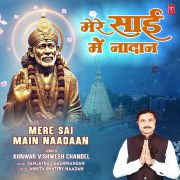 MERE SAI MAIN NAADAAN