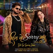 DIL SE SORRY JANU
