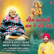 NEEM KAROLI BABA MEIN CHHAVI DIKHE