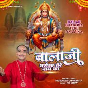 BALAJI BHAROSA TERE NAAM KA