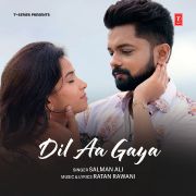 DIL AA GAYA