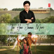 TU HAI JAAN MERI