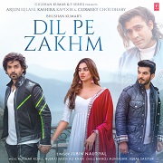 DIL PE ZAKHM