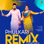 Phulkari Remix
