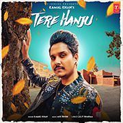 Tere Hanju