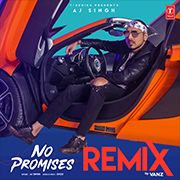 No Promises Remix