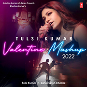 Tulsi Kumar Valentine Mashup 2022