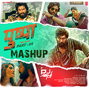 Pushpa The Rise Part - 01 Mashup