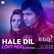 Hale Dil Lofi Mix