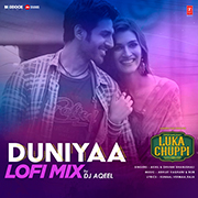 Duniyaa Lofi Mix